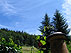 Ferienwohnung : Picture Self-Catering Holiday Apartments and Family Homes - Mill Stream, Black Forest